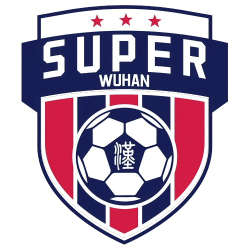 武汉城市足球超级联赛黄陂区5.0新洲区20250823