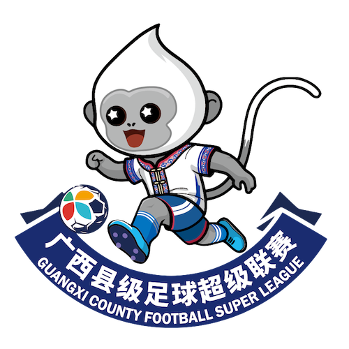 广西县级足球超级联赛南宁市宾阳县1-2北海市海城区队20260208
