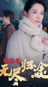 春运之无尽归途