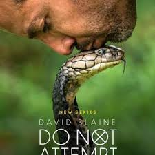 大卫·布雷恩：请勿尝试